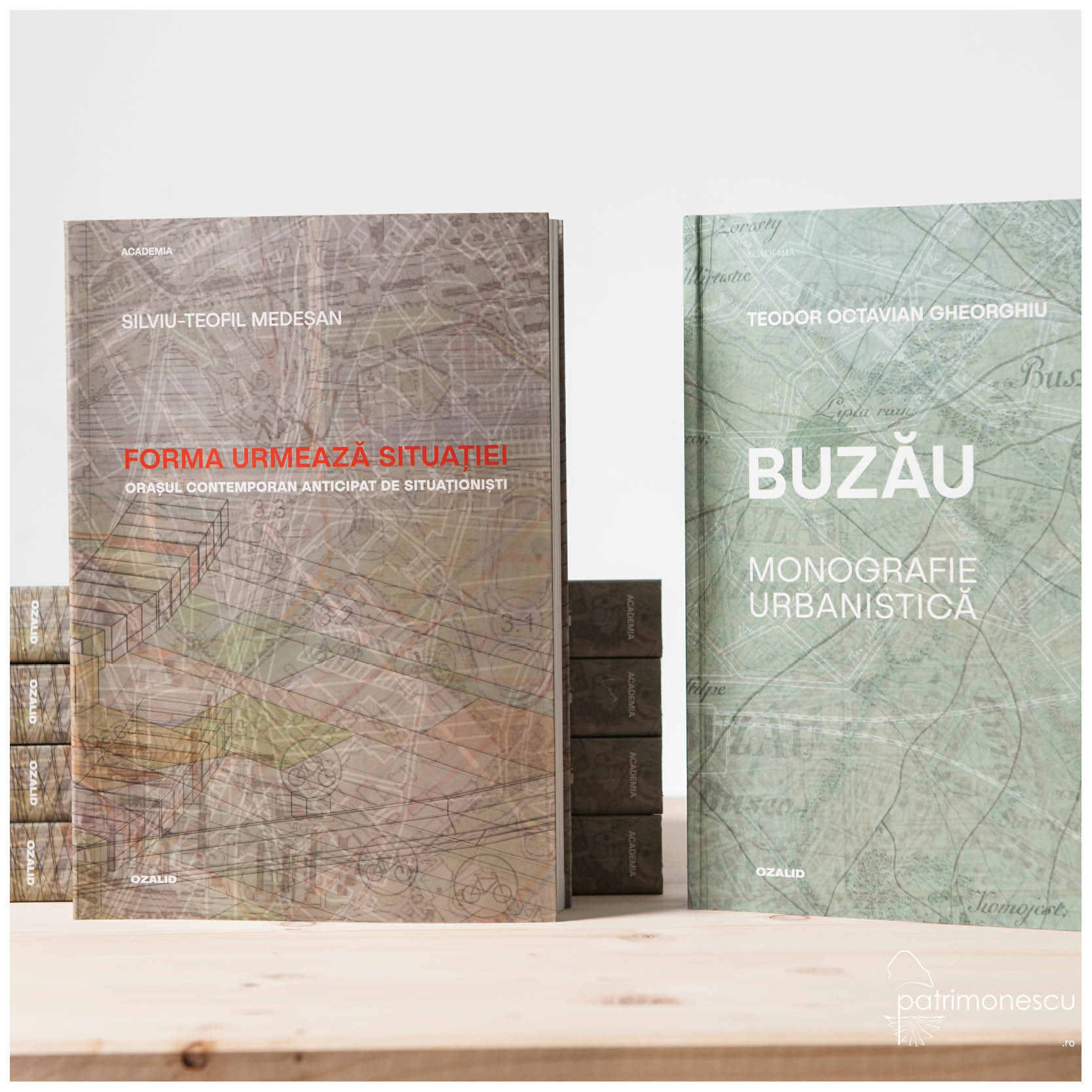 Buzău. Monografie urbanistică