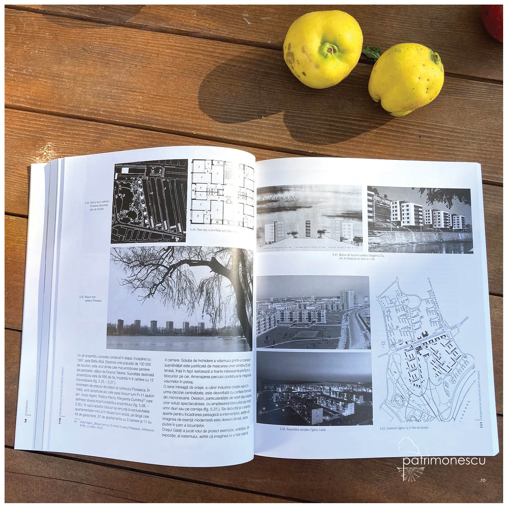 Locuirea între proiect și decizie politică. România 1954-1966