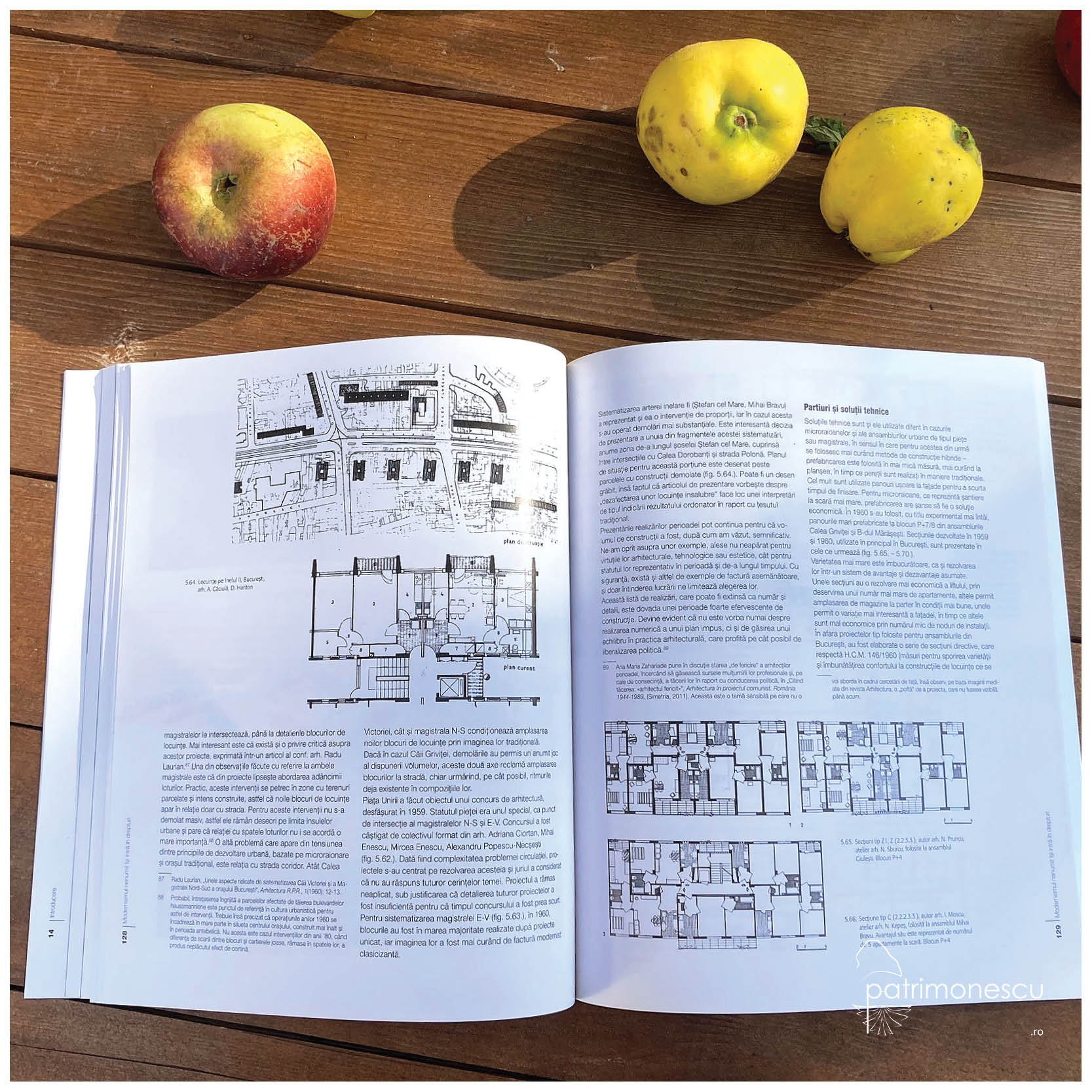 Locuirea între proiect și decizie politică. România 1954-1966