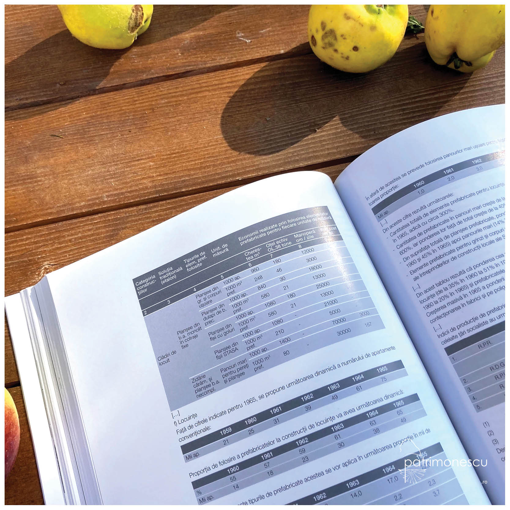 Locuirea între proiect și decizie politică. România 1954-1966