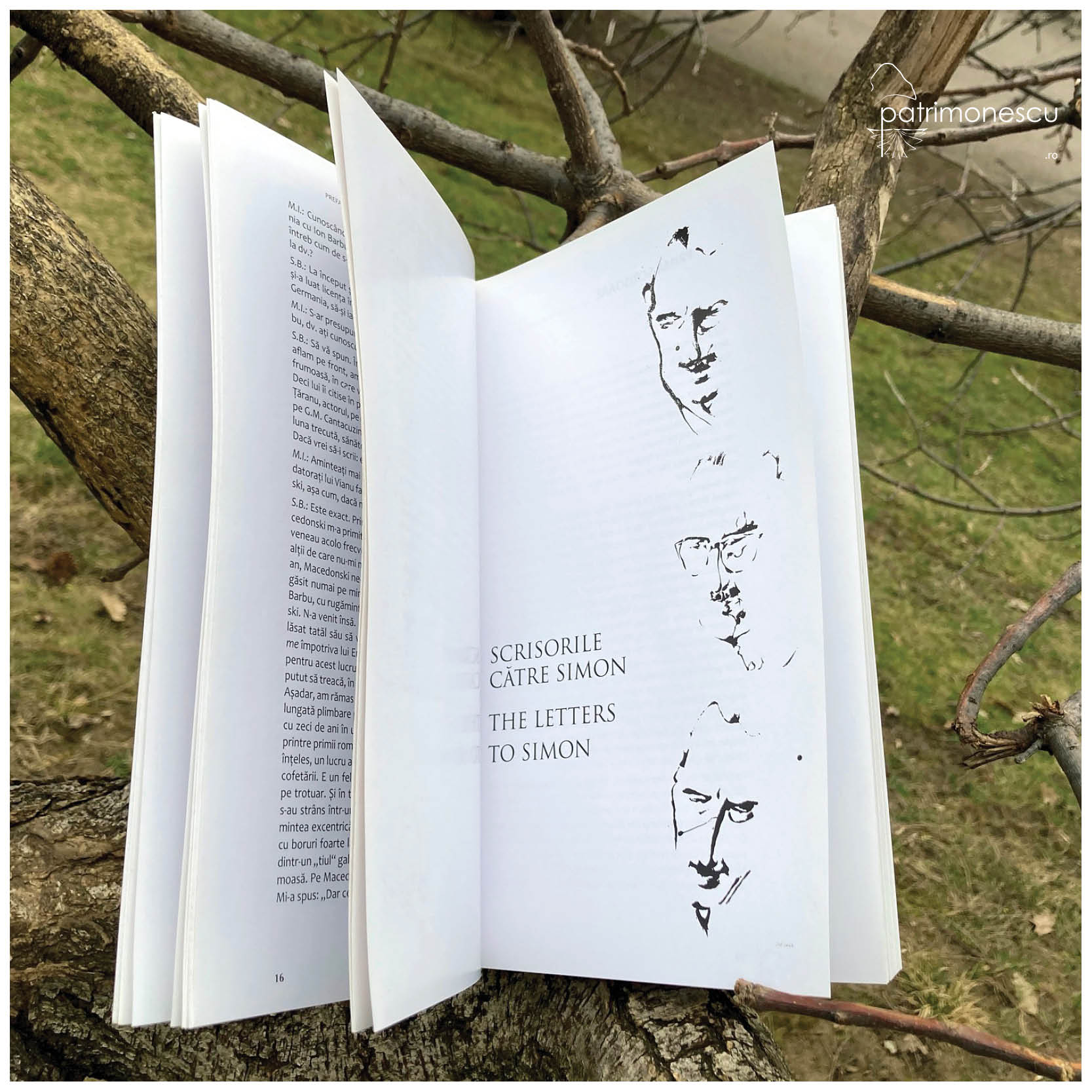 Scrisorile către Simon