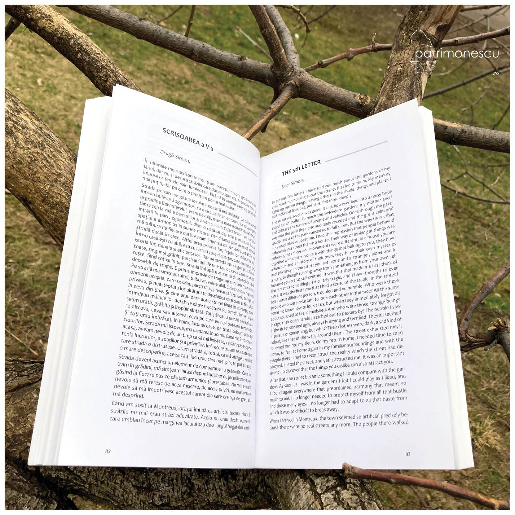 Scrisorile către Simon