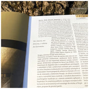 Arca noetica de la Alba Iulia