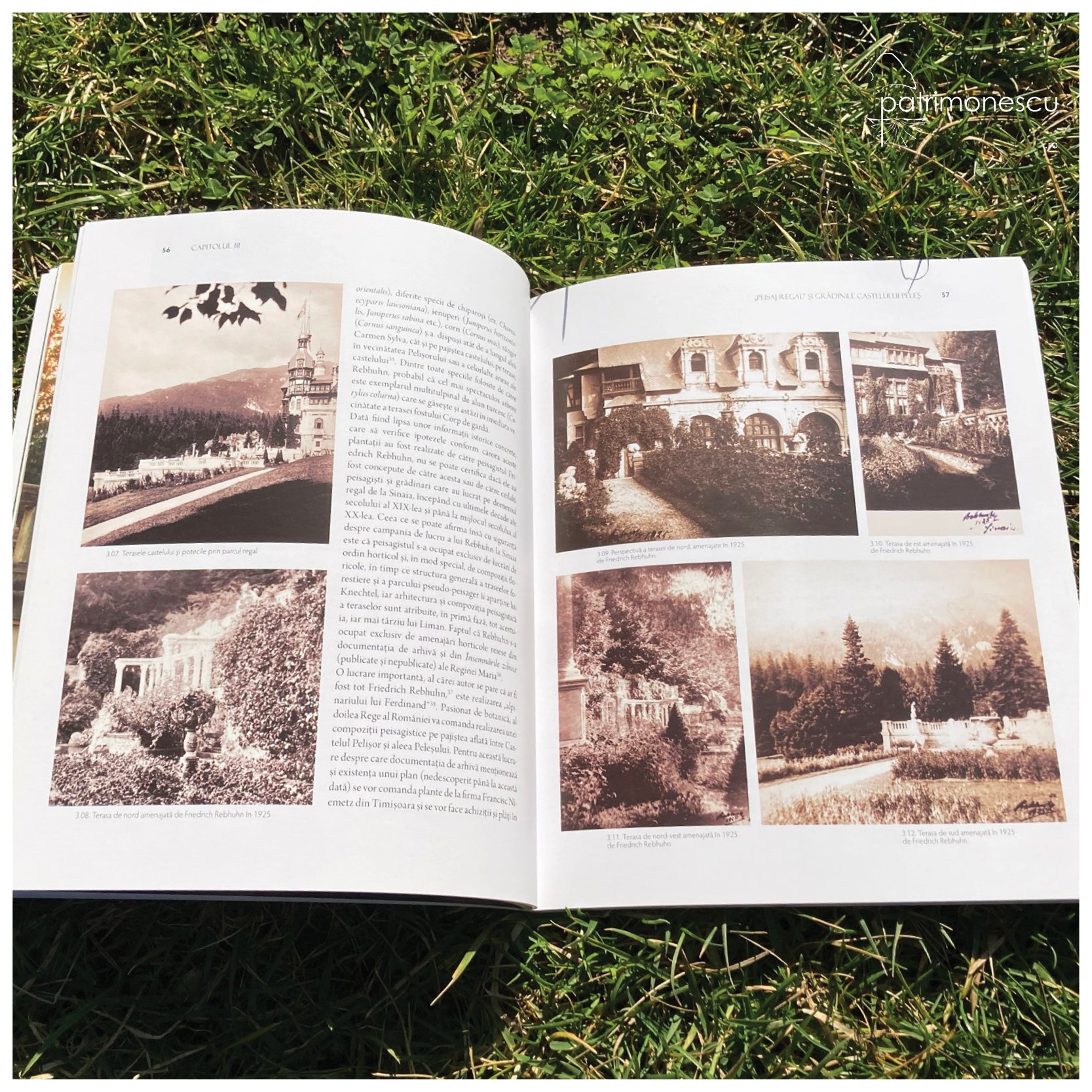 Gradinile Castelului Peles, Alexandru Mexi