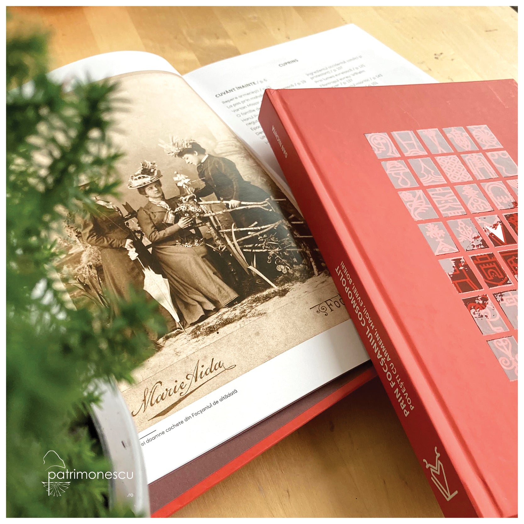 Prin Focsaniul cosmopolit, autor Dan Nichita