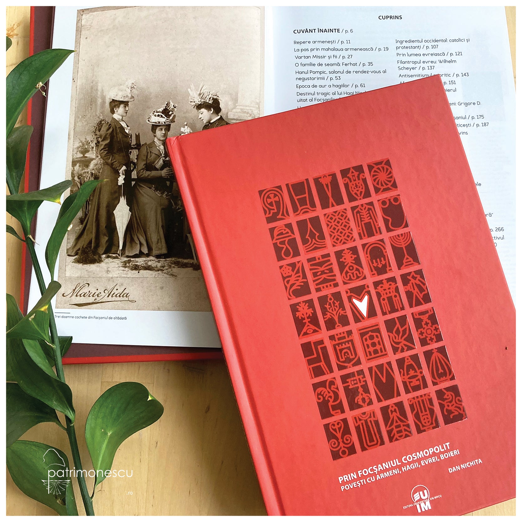 Prin Focsaniul cosmopolit, autor Dan Nichita