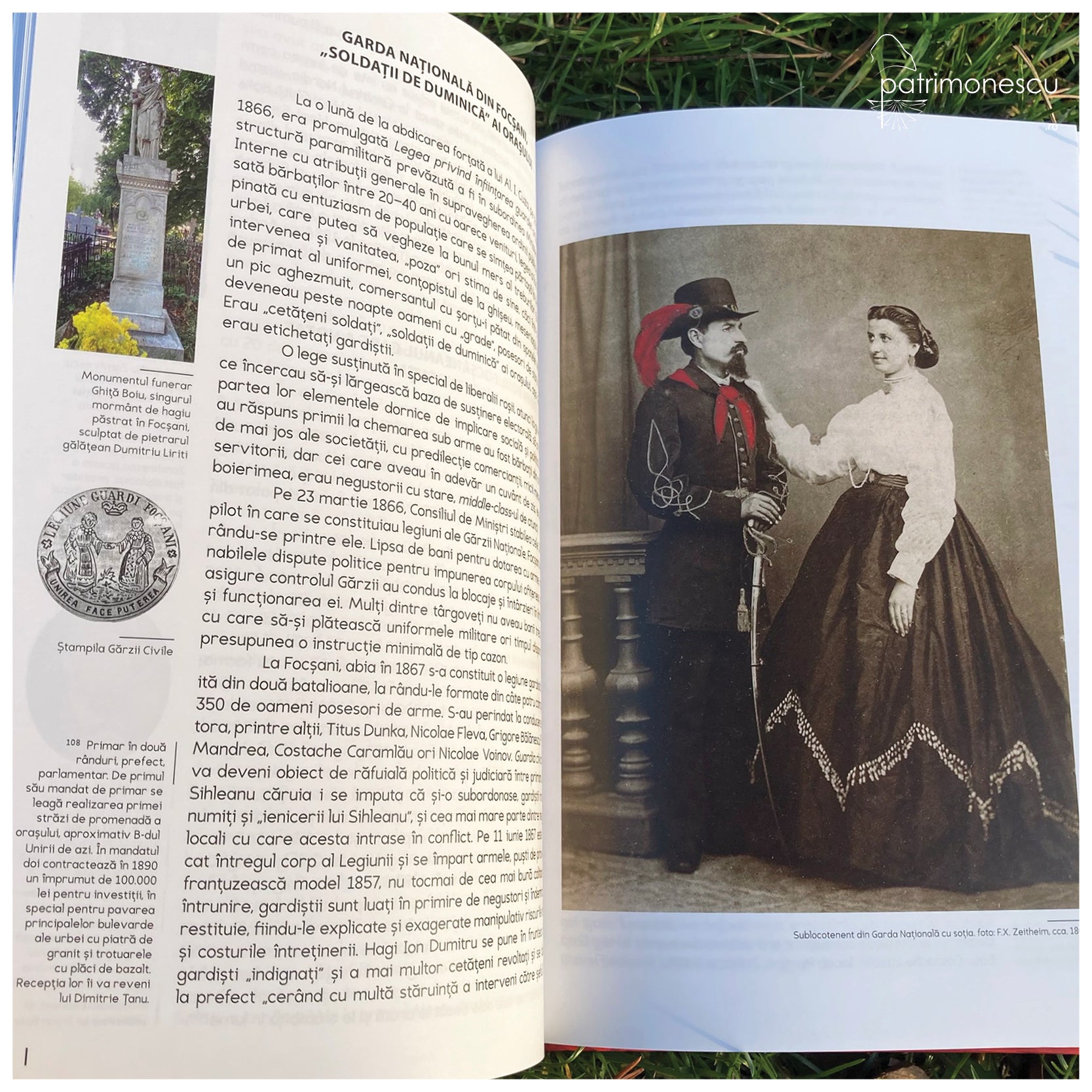 Prin Focsaniul cosmopolit, autor Dan Nichita