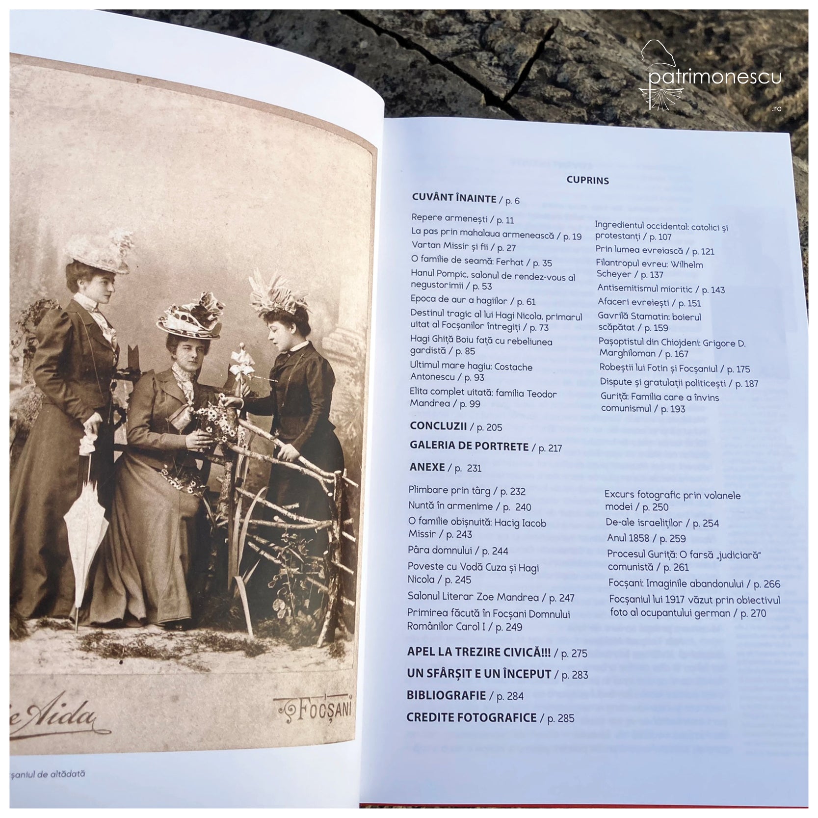 Prin Focsaniul cosmopolit, autor Dan Nichita