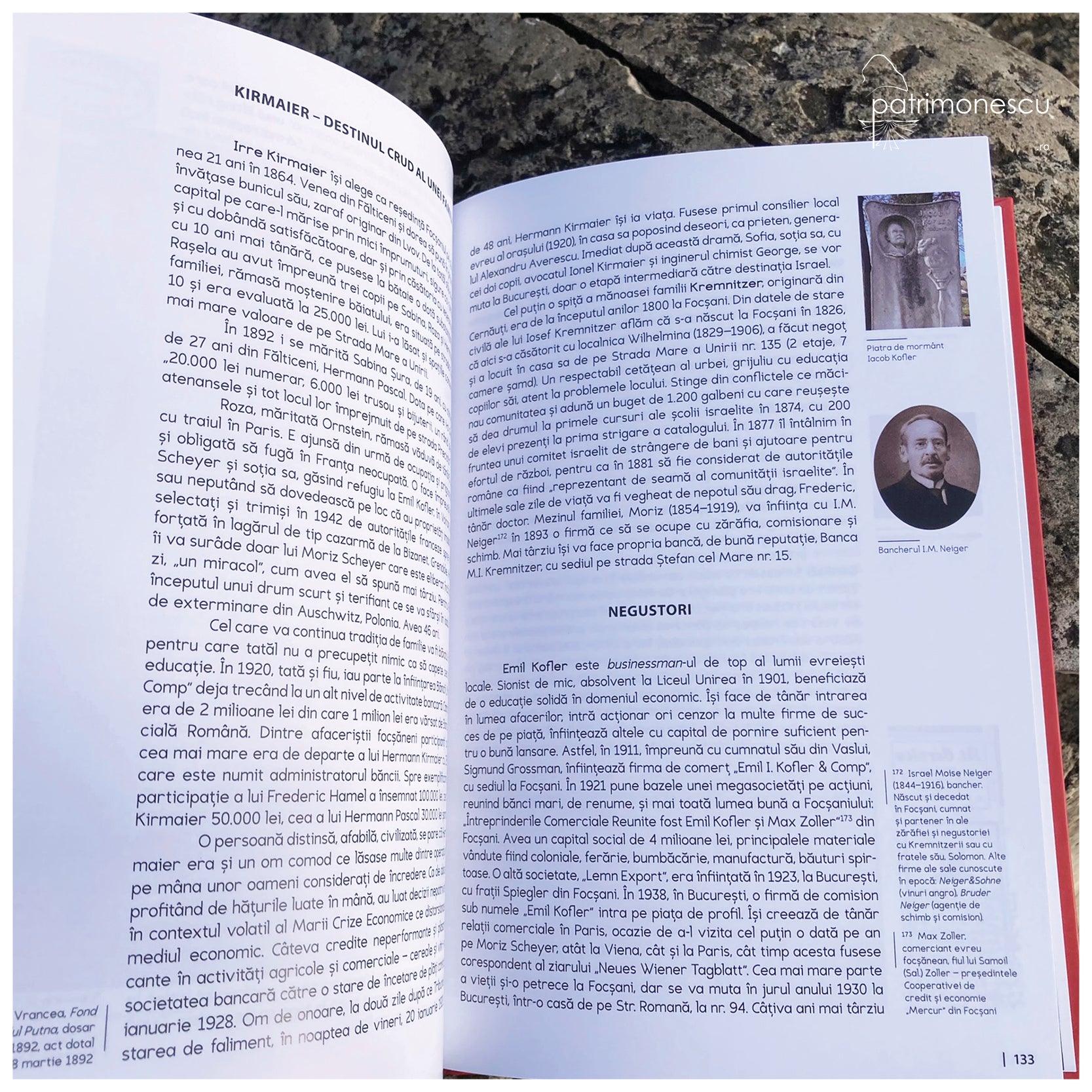 Prin Focsaniul cosmopolit, autor Dan Nichita