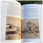 Prin Focsaniul cosmopolit, autor Dan Nichita