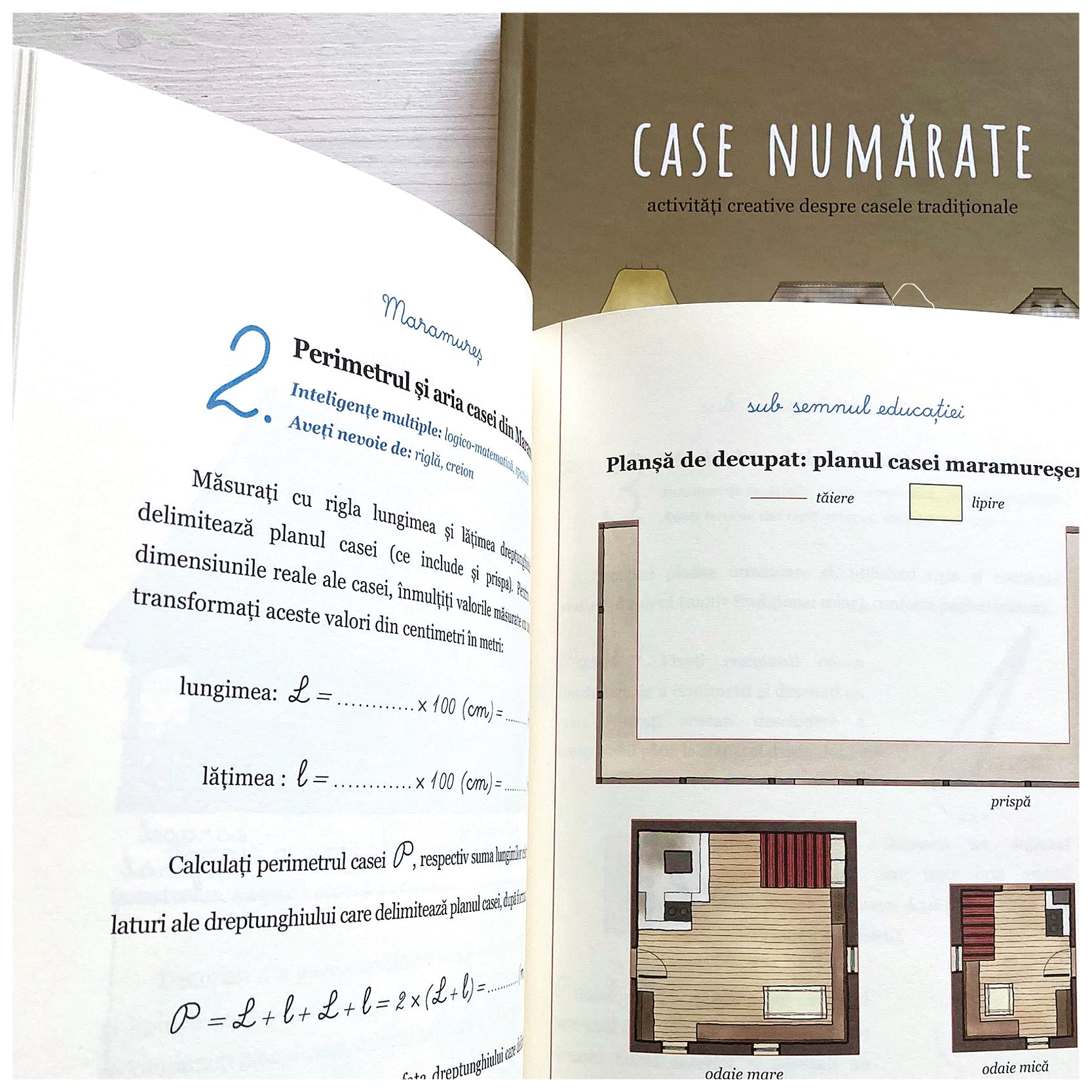 Case numarate. Activitati creative despre case traditionale.