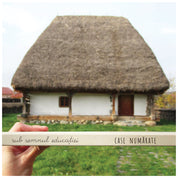 Case numarate. Activitati creative despre case traditionale.