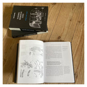 Restaurarea monumentelor istorice