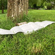 CTITORII ALE OAMENILOR LIBERI - Matei Eugen Stoean