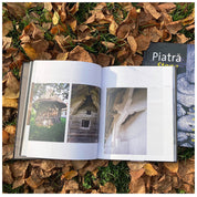 Lemn. Biserici din nordul Olteniei