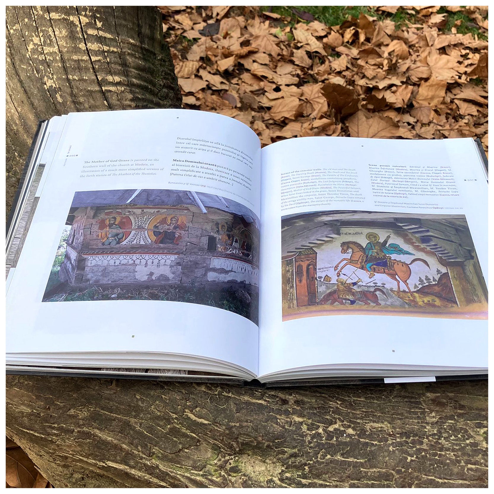 Lemn. Biserici din nordul Olteniei