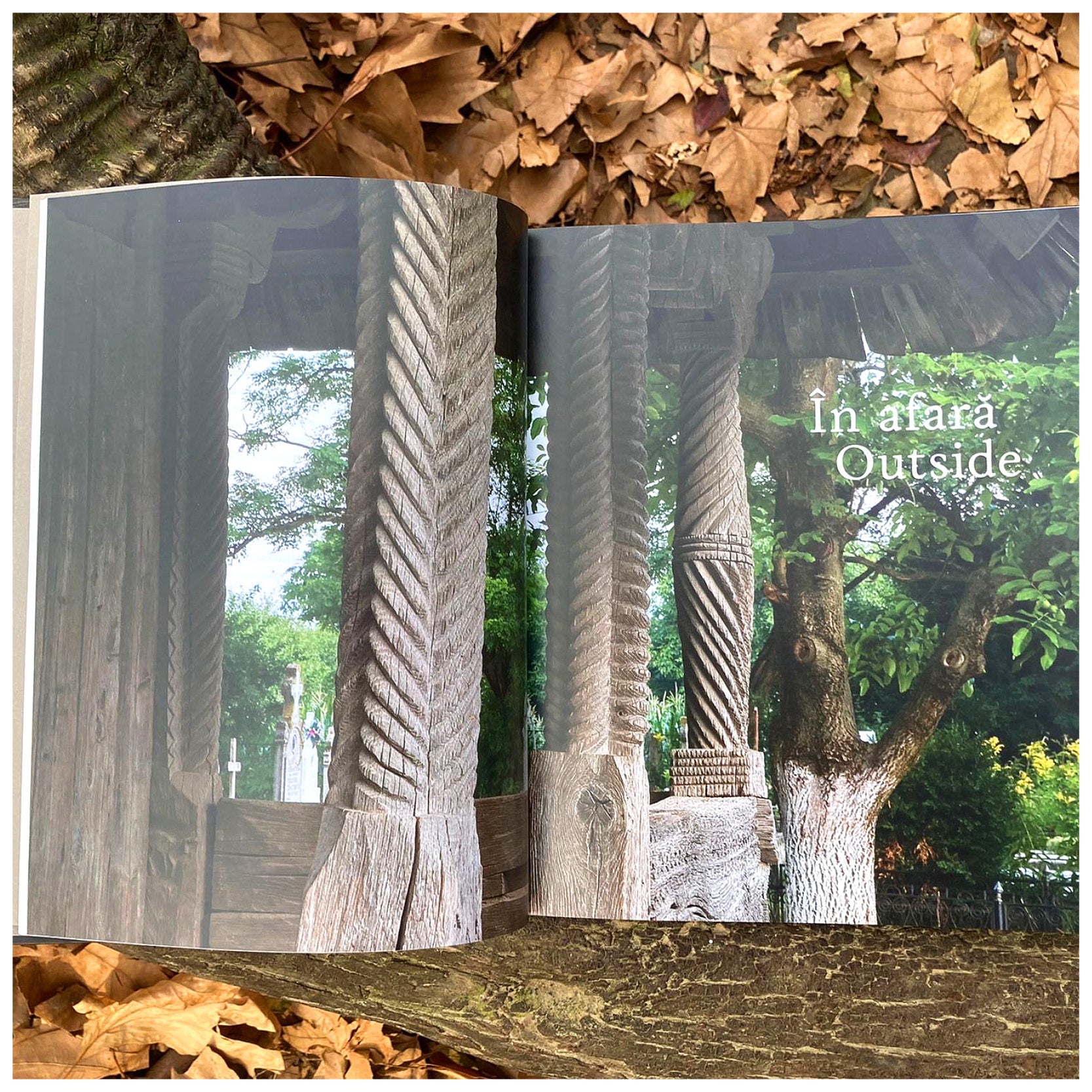 Lemn. Biserici din nordul Olteniei