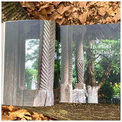 Lemn. Biserici din nordul Olteniei