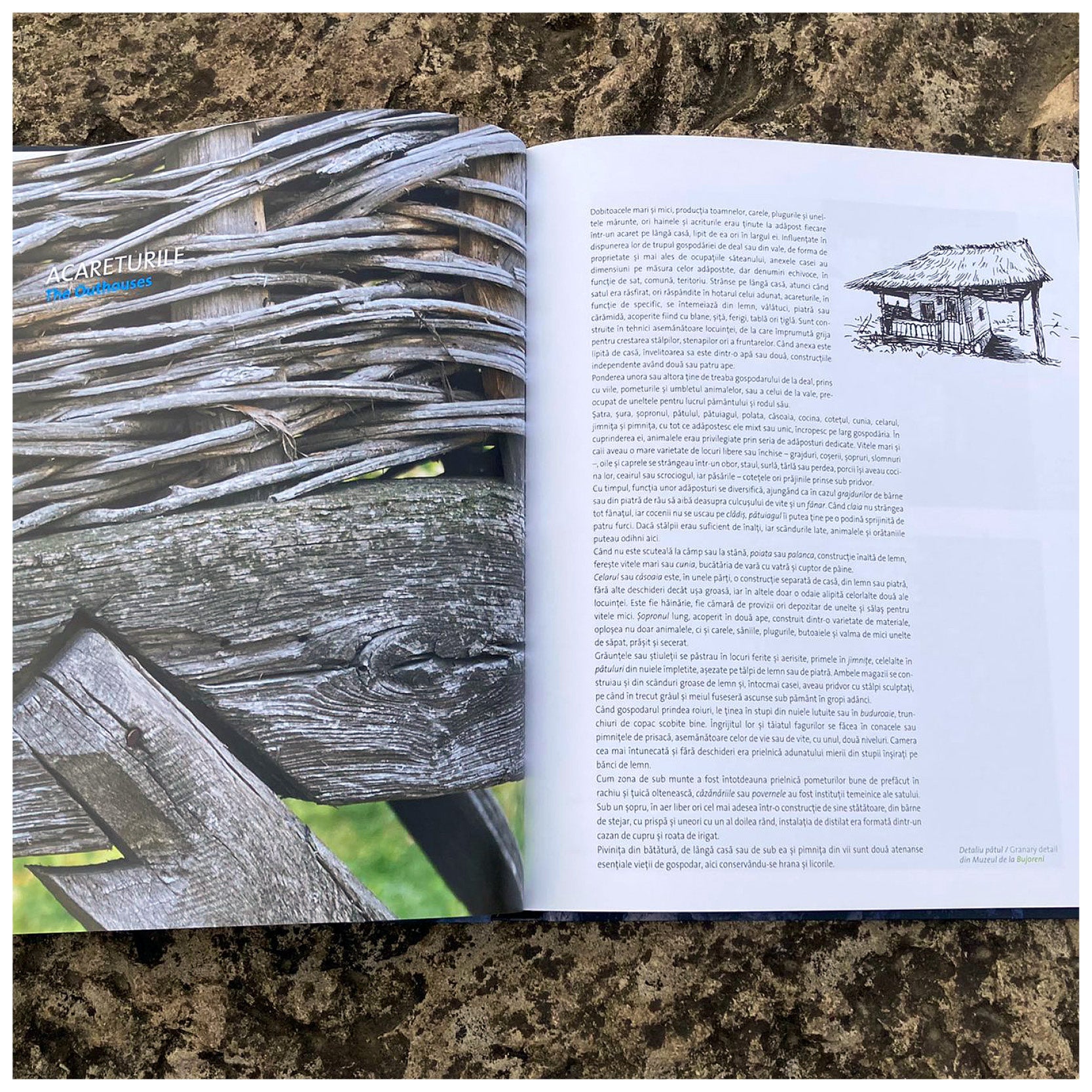 Lemn. Biserici din nordul Olteniei