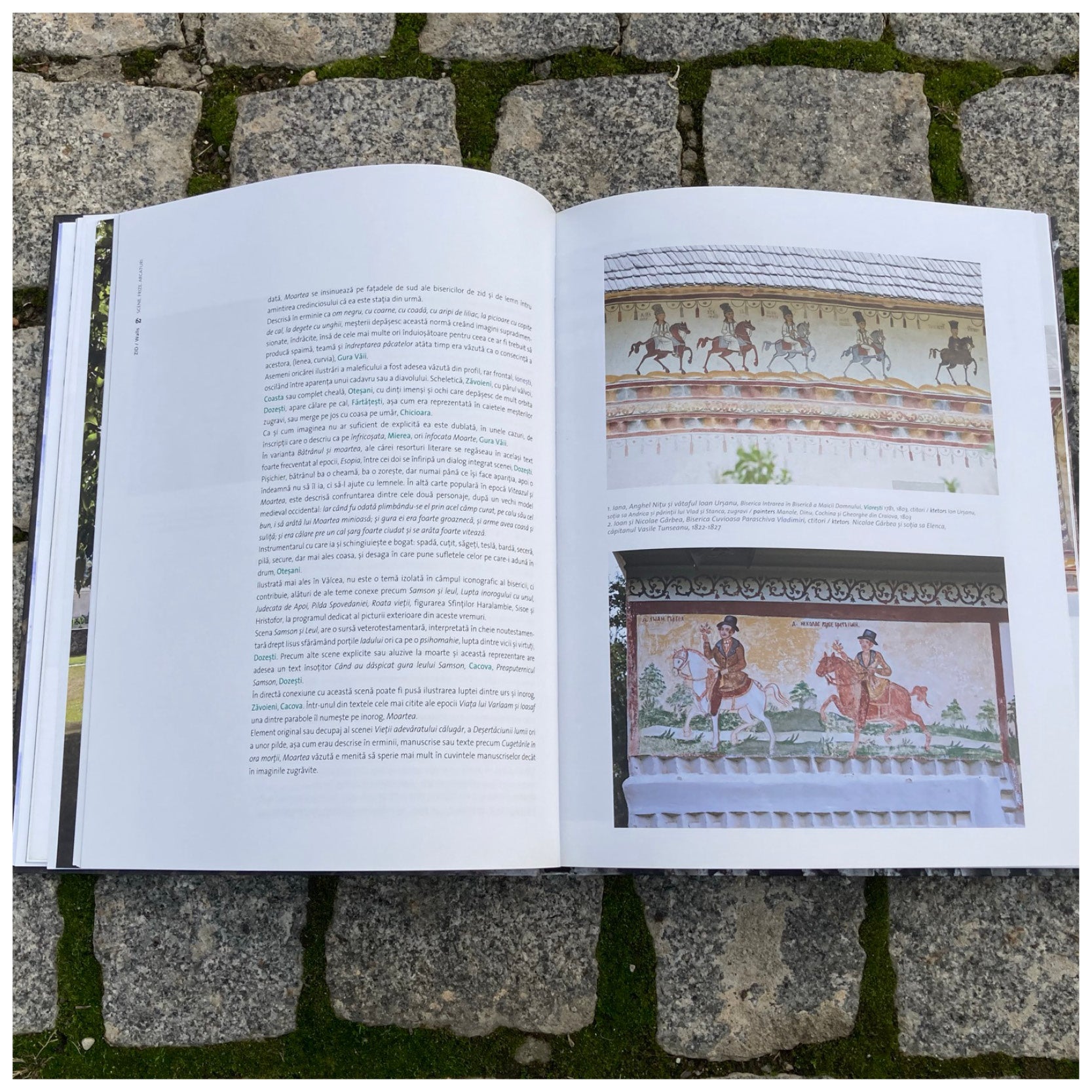 Zid. Ctitorii marunte din nordul Olteniei