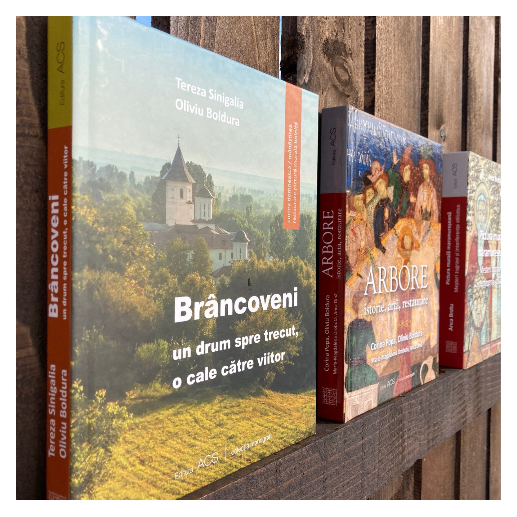 ACS_Brancoveni_imaginicartipepatrimonescu_2august202114.jpg