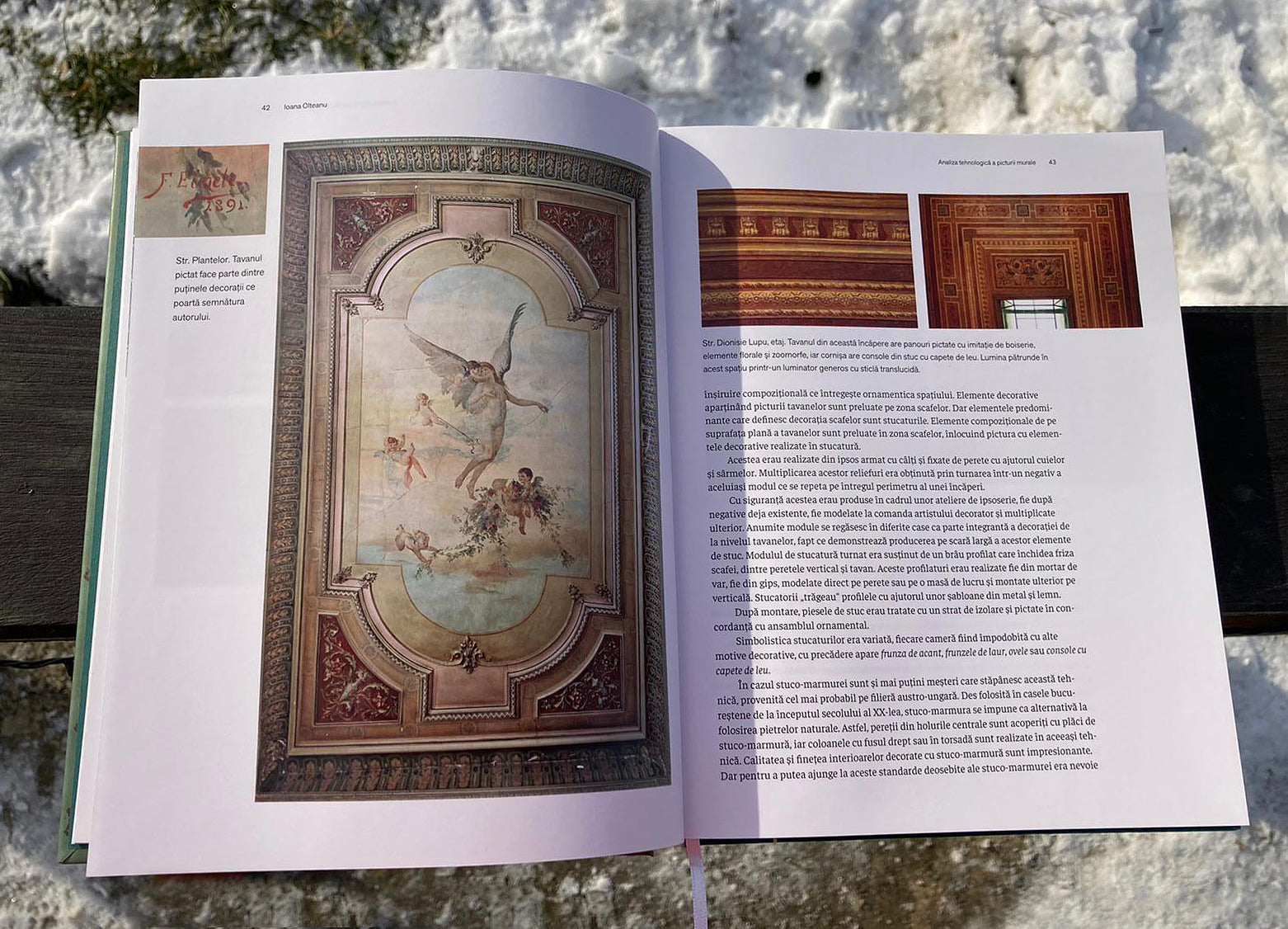 Șerban Sturdza, Maria Dumbrăvician, Oana Marinache, Ioana Olteanu