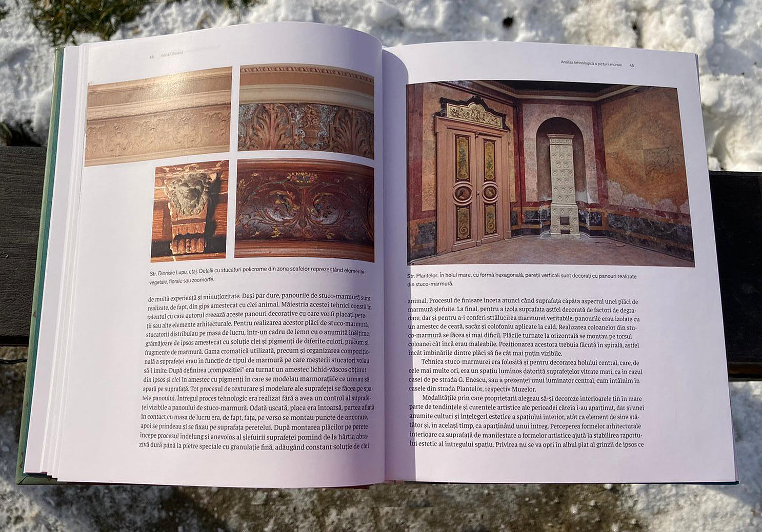 Șerban Sturdza, Maria Dumbrăvician, Oana Marinache, Ioana Olteanu