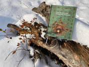 Case din București. Valoare prin restaurare