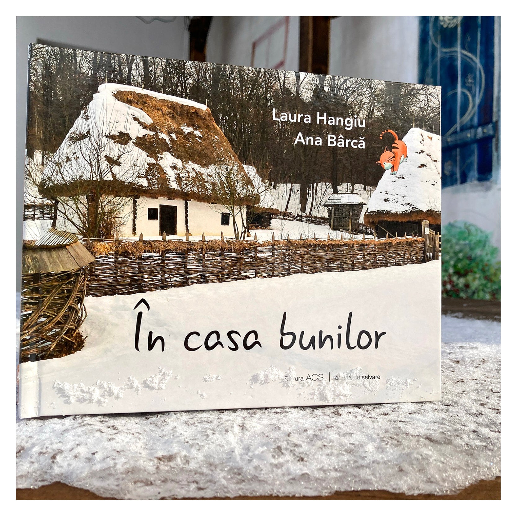 In casa bunilor - Laura Hangiu, Ana Bârcă