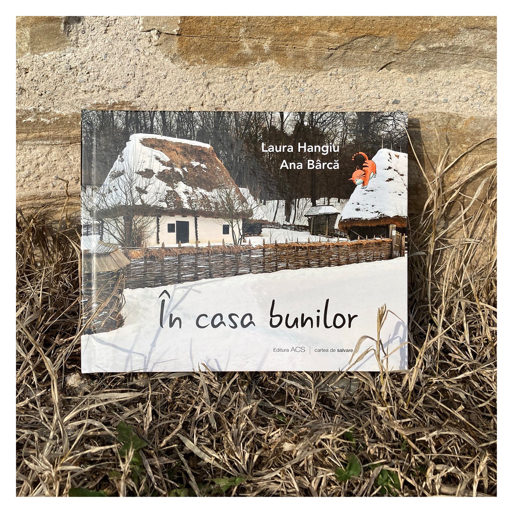 In casa bunilor - Laura Hangiu, Ana Bârcă