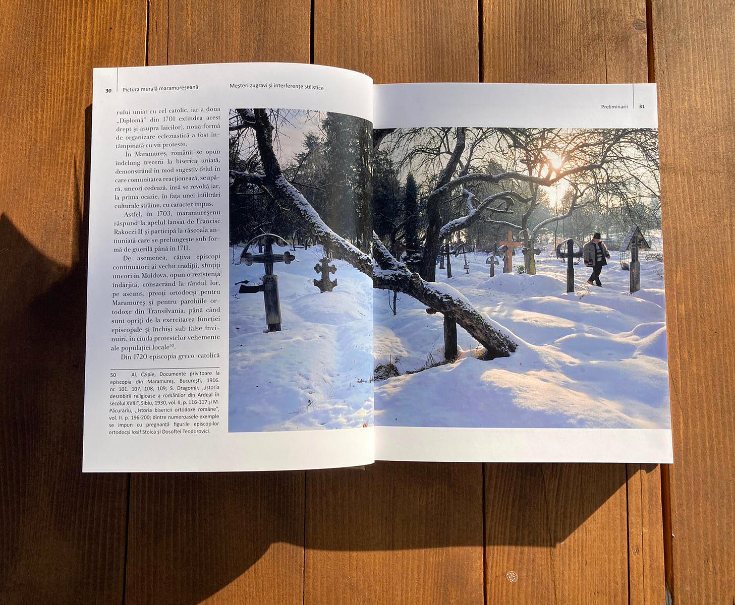 Pictura murală maramureșeană. Meșteri zugravi și interferențe stilistice