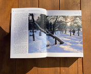 Pictura murală maramureșeană. Meșteri zugravi și interferențe stilistice