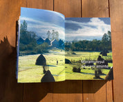 Pictura murală maramureșeană. Meșteri zugravi și interferențe stilistice