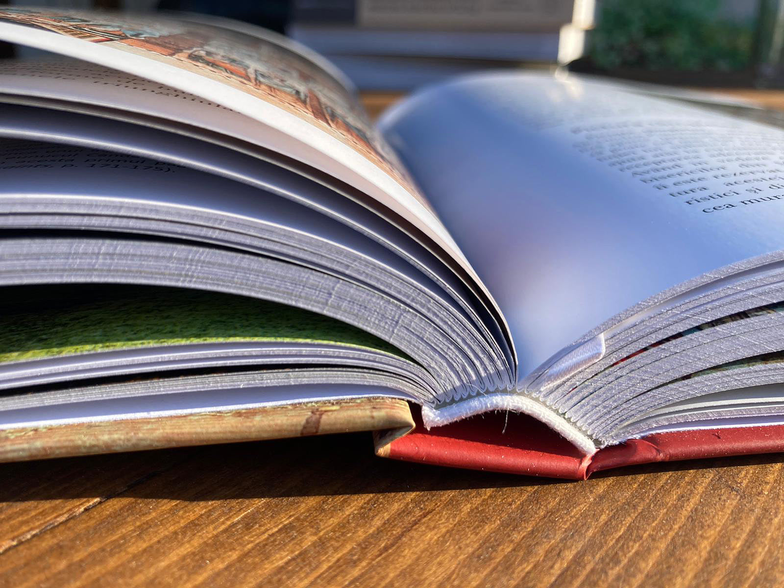 Pictura murală maramureșeană. Meșteri zugravi și interferențe stilistice