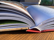 Pictura murală maramureșeană. Meșteri zugravi și interferențe stilistice