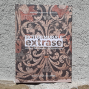 Picturi murale extrase