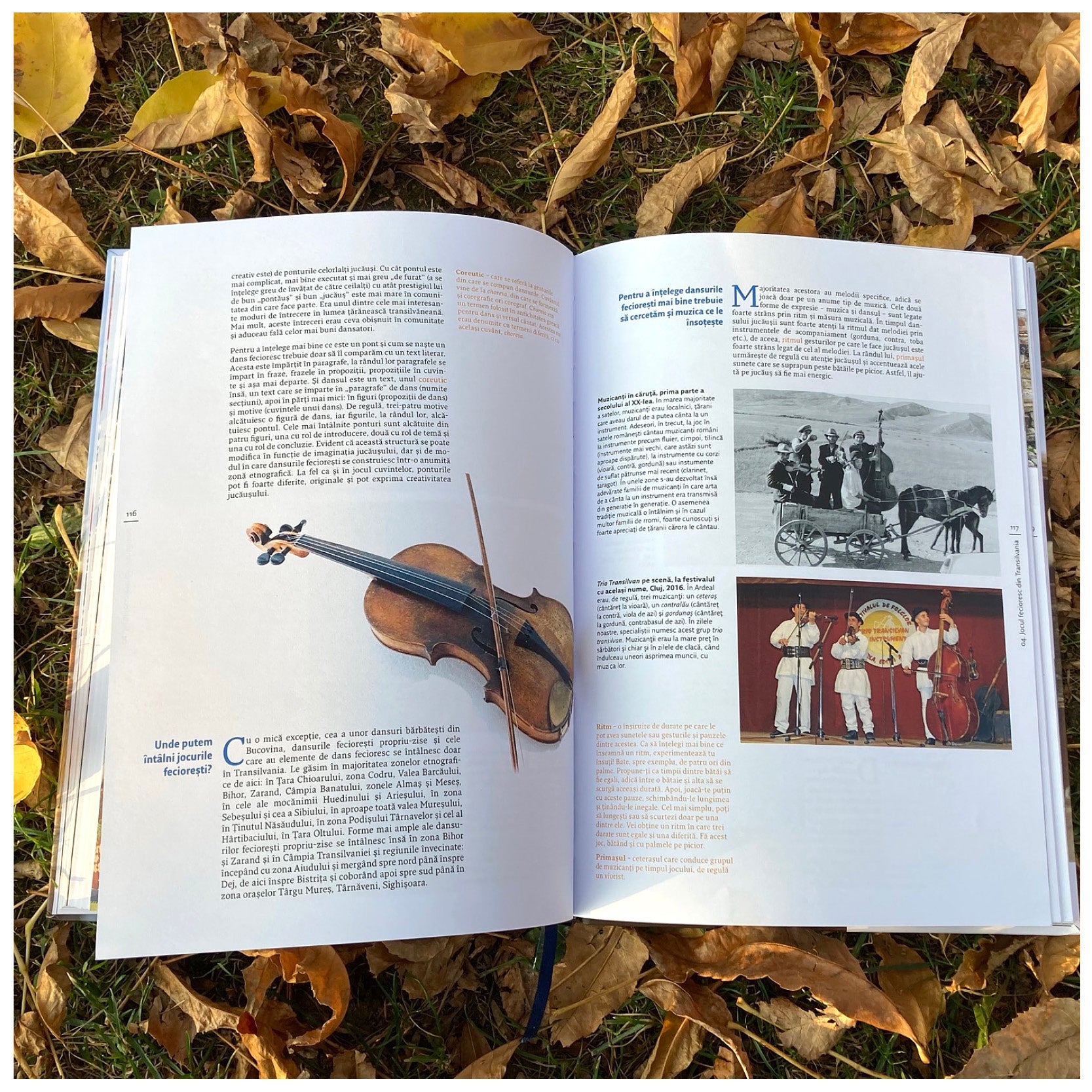 Patrimoniul UNESCO din ROMÂNIA pe înțelesul tuturor