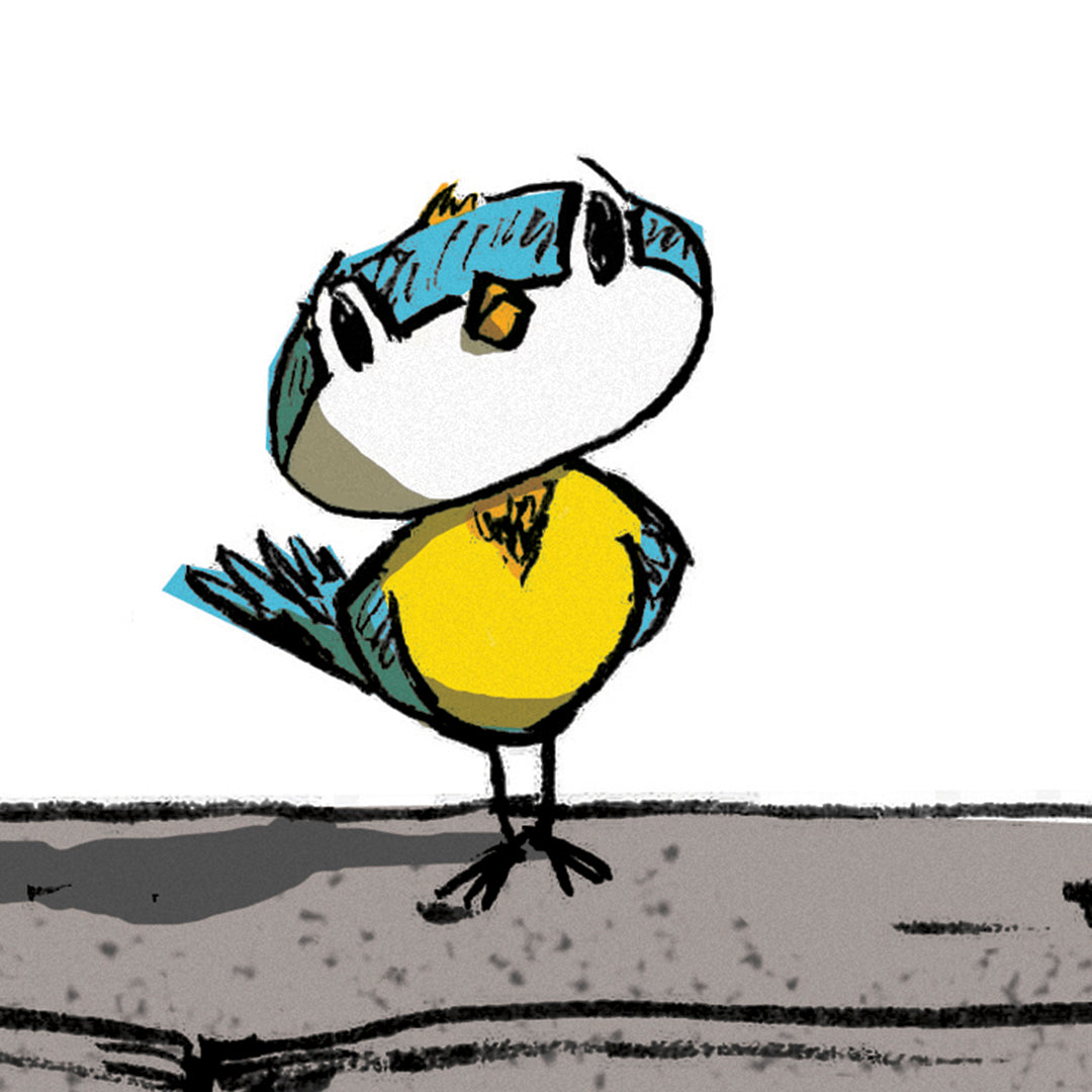 Zborul ZCP 39 - Căutarea lui Pippin