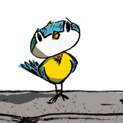 Zborul ZCP 39 - Căutarea lui Pippin