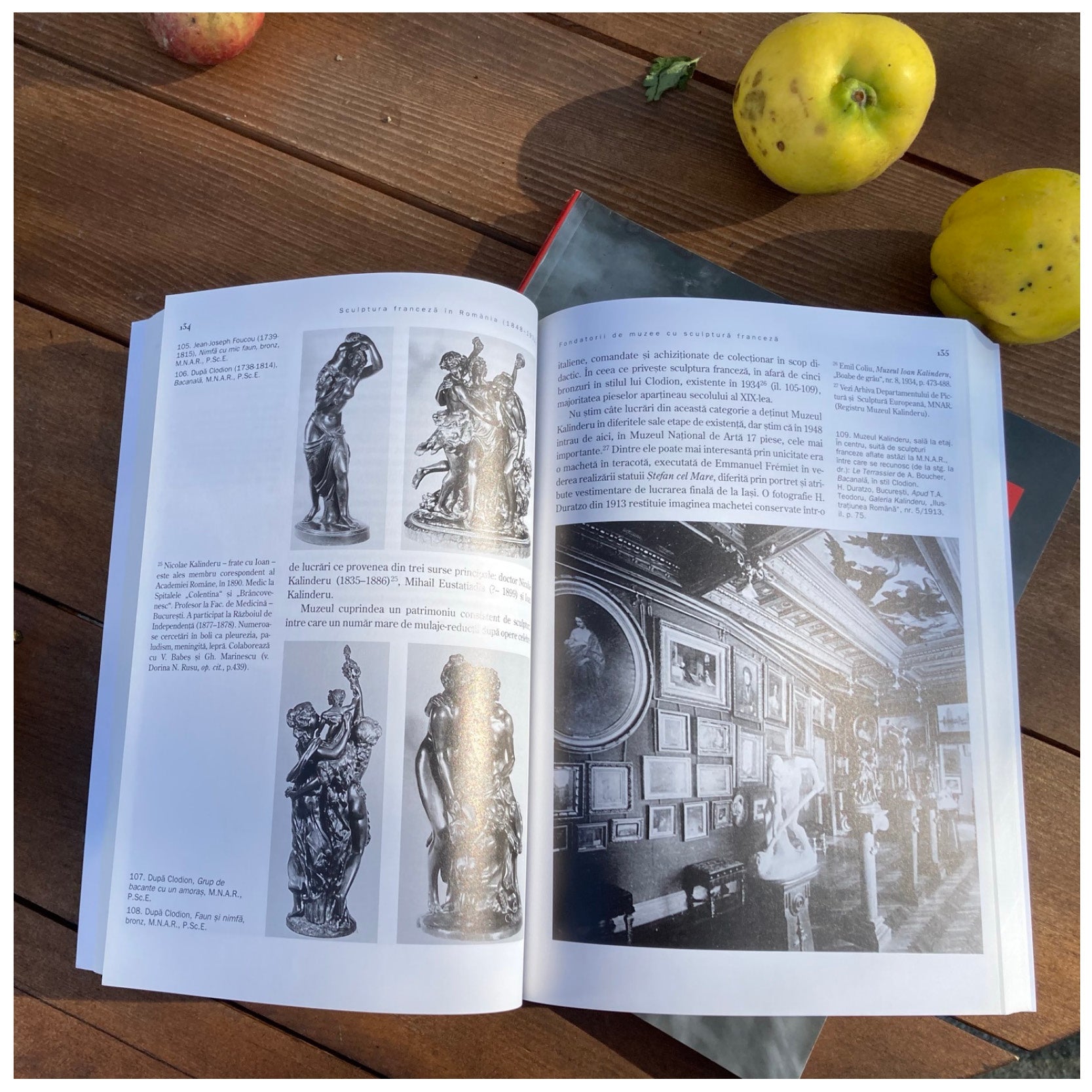 Sculptura franceză în România (1848-1931), Ioana Beldiman