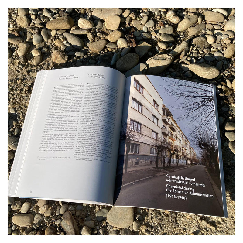 CERNÃUTI - Arhitecturã europeanã, arhitecturã româneascã