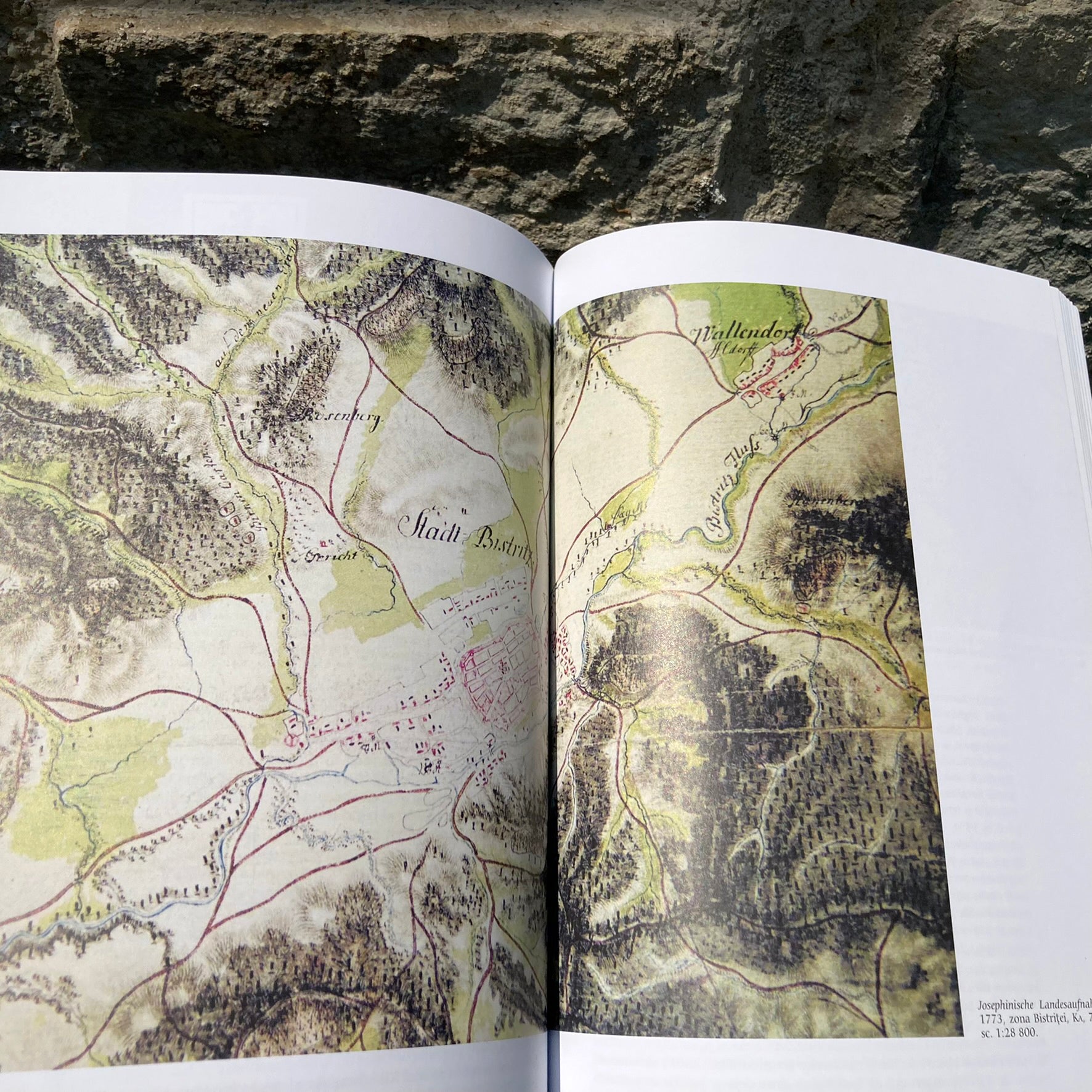 Transilvania Medievală