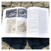 Arhitectură și urbanism în România anilor 1944-1960. Constrângere și experiment