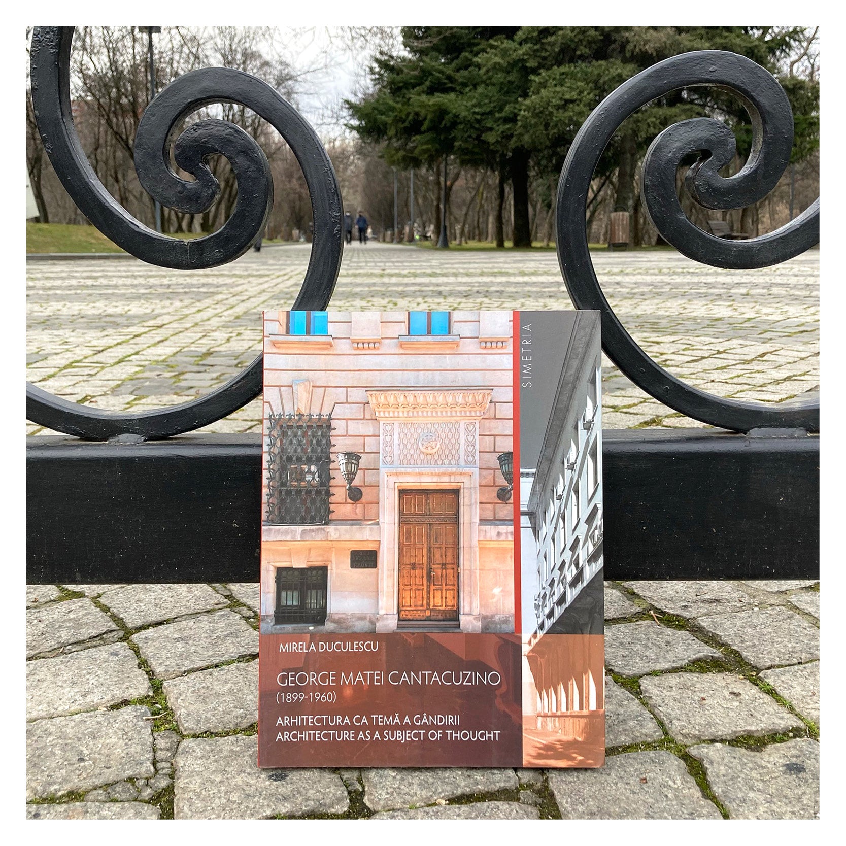 Simetria_MirelaDuculescu_GMCantacuzino_imaginicartipepatrimonescu_2august2021.jpg