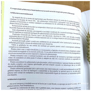 Paul Smărăndescu 140