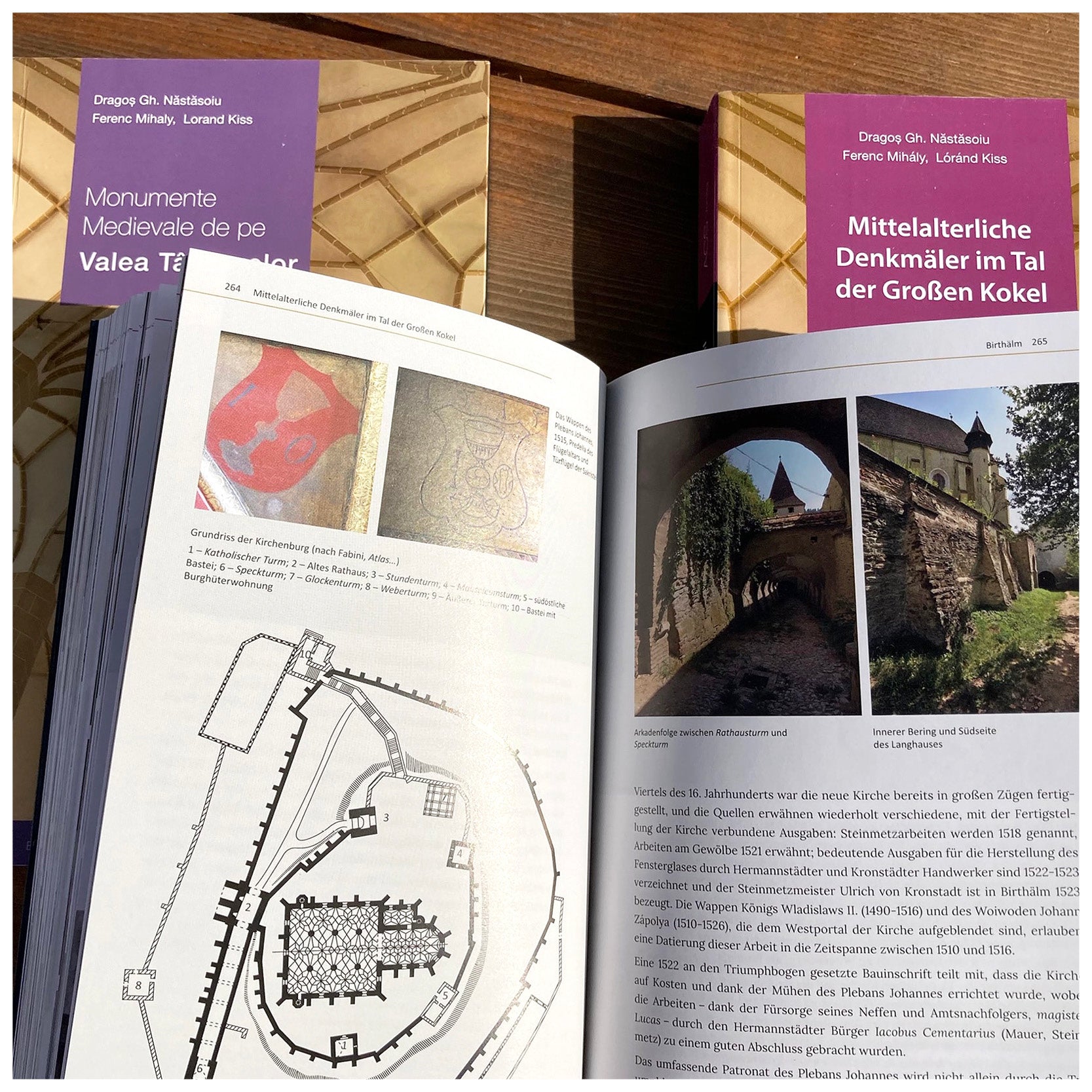 Mittelalterliche Denkmäler im Tal der GroBen Kokel