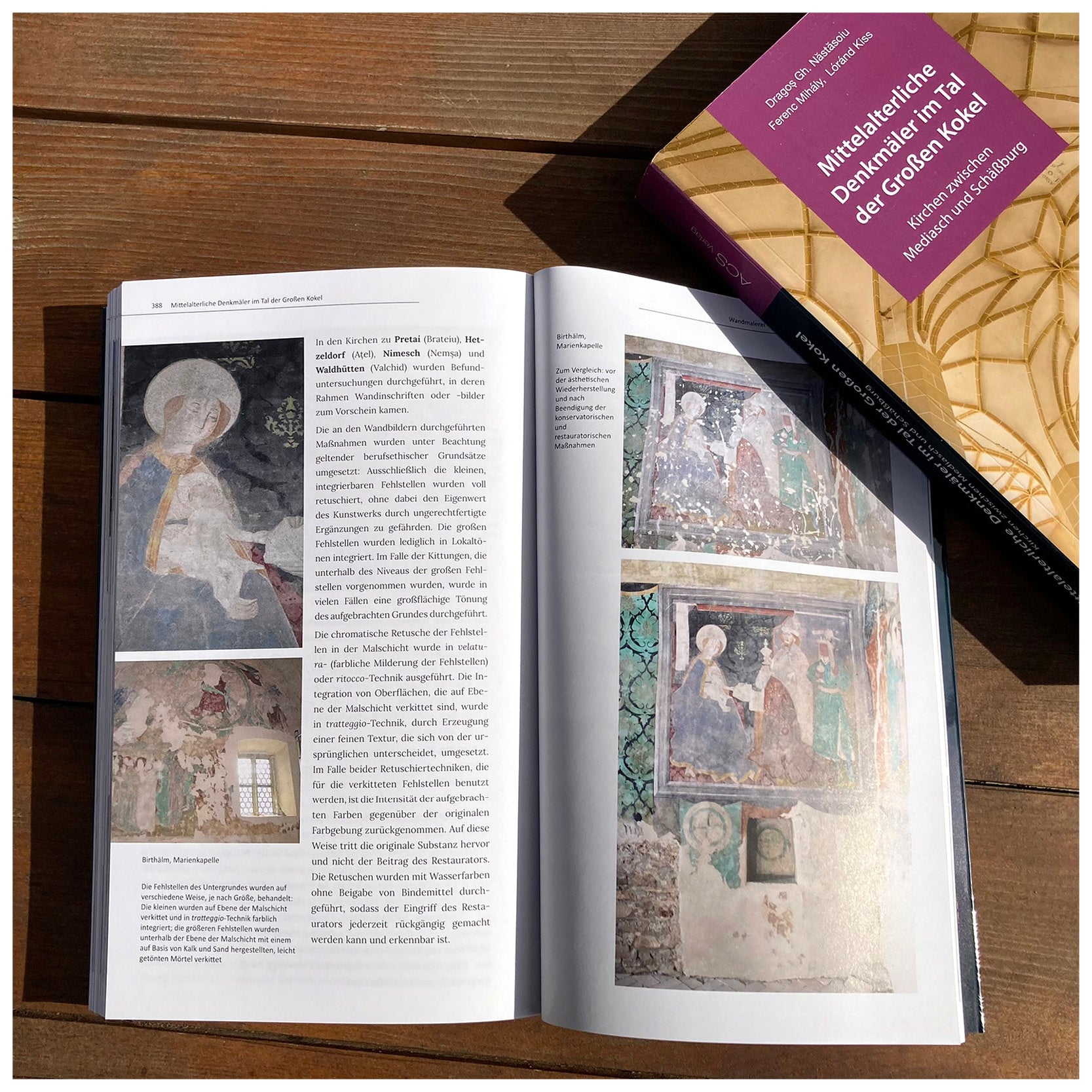 Mittelalterliche Denkmäler im Tal der GroBen Kokel