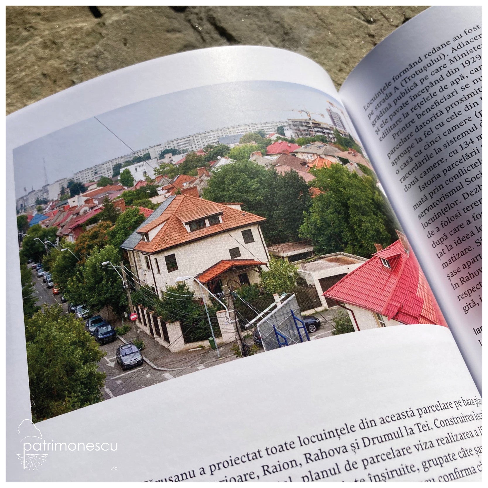 Idealul locuirii bucurestene: familia cu casa si gradina