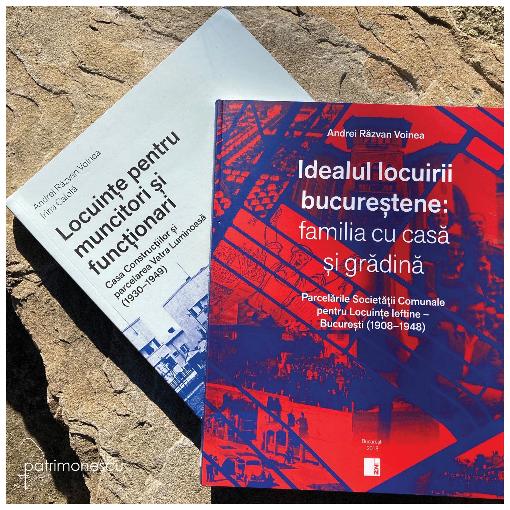 Idealul locuirii bucurestene: familia cu casa si gradina