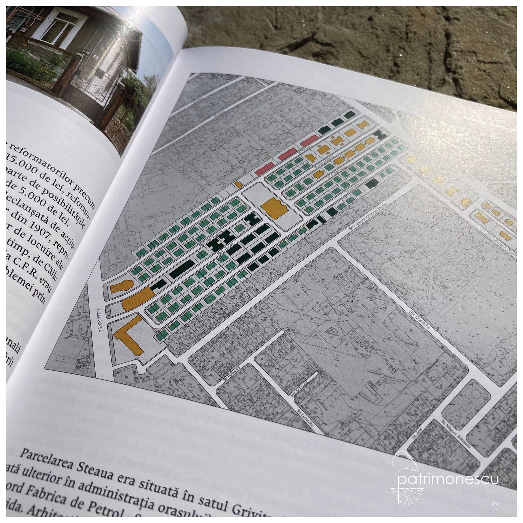 Idealul locuirii bucurestene: familia cu casa si gradina